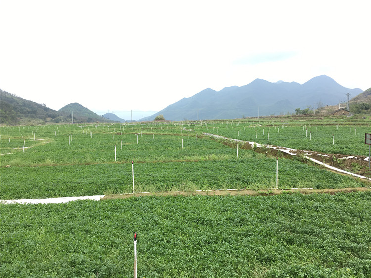 五一 沖陽(yáng)山“去班味”計(jì)劃 | 味蕾狂歡篇