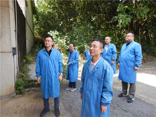 8.2 貿易發展股2.jpg