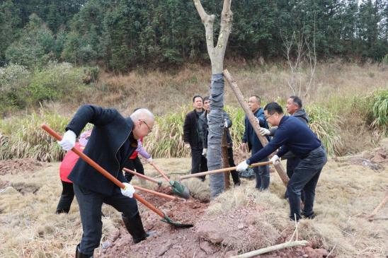 縣政務(wù)和數(shù)據(jù)局到楊梅鎮(zhèn)開展鄉(xiāng)村綠化主題植樹活動.jpg