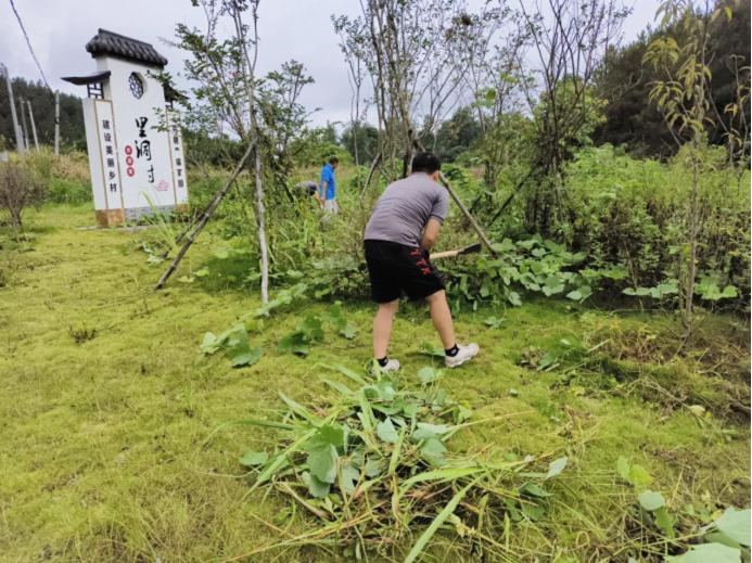 陽山縣政務服務和數據管理局黨支部到楊梅鎮里洞村開展人居環境清潔活動圖片.jpg