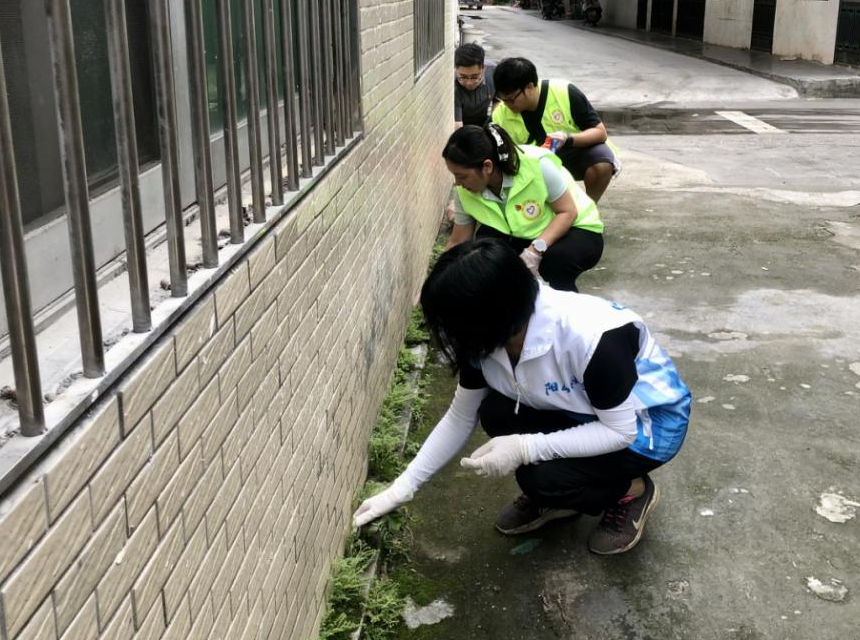 黨員清理社區周邊雜草.png
